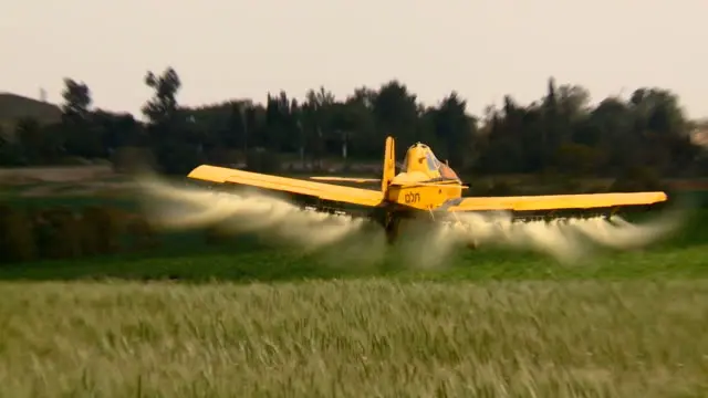 LOS PELIGROS EN LA INOCUIDAD ALIMENTARIA II Pesticidas.